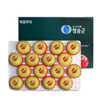 [오늘신선] 경북 청송 명절선물 프리미엄 과일선물 시나노골드 사과세트 5kg(16-17과내)
