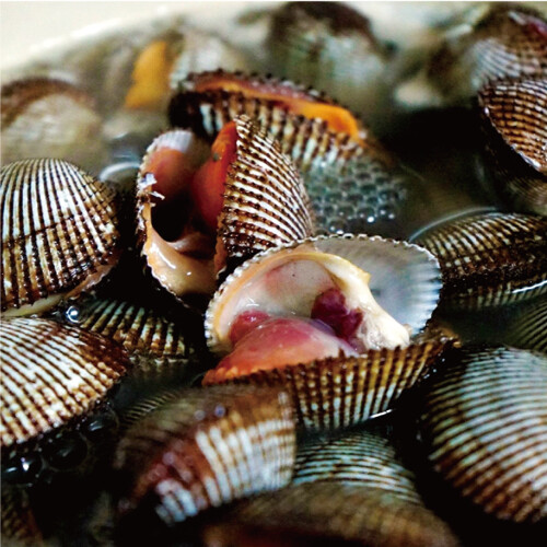  대한민국수산(South Koreas seafood)