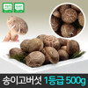 송이고버섯 1등급 500g /당일수확/생산자 발송