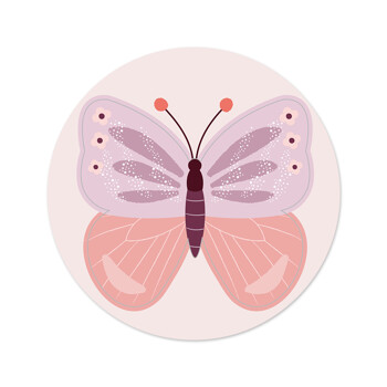 아티바바 모양 스핀아트 리필지 나비