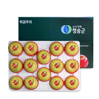 [오늘신선] 경북 청송 명절선물 프리미엄 과일선물 시나노골드 사과세트 5kg(14-15과내)