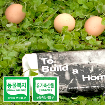 투빌드어홈 동물복지 유기축산 난각번호 1번 유정란 달걀 40구 계란