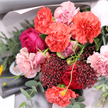 카네이션 레드다발+도라지정과 500 어버이날 스승의날 감사 존경 은혜 축하 생신 기념일 선물 꽃