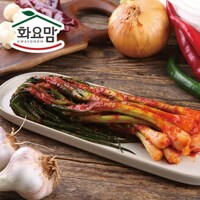 [화요맘] 싱싱한 국내산 재료로 만든 파김치2kg