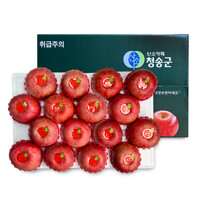 [오늘신선] 경북 청송 명절선물 프리미엄 과일선물 사과세트 5kg(16-17과내)
