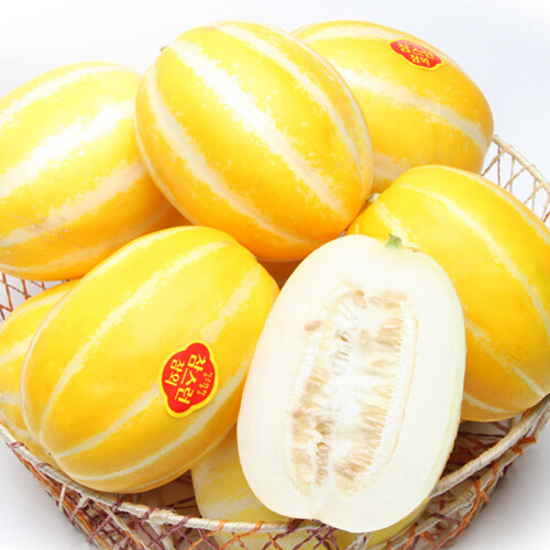  금싸라기 성주 참외 2kg(8~10과)