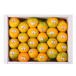 [새벽배송] 밀감 3kg