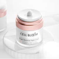 [CELL BLOOM] 셀블룸 드래곤 리너리시 나이트 크림 50ml