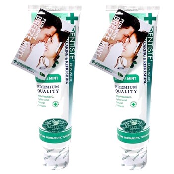 덴티스테 플러스 브리즈민트 치약160g x2개 상쾌함
