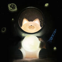 우주 비행사 냥 고양이 LED 무드등
