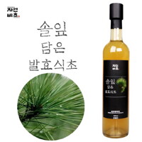 자연비초 솔잎담은 발효식초 500ml 천연발효식초