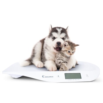 아이워너 강아지 고양이 반려동물 체중계 신생아 유아 아기 전자 디지털 측정