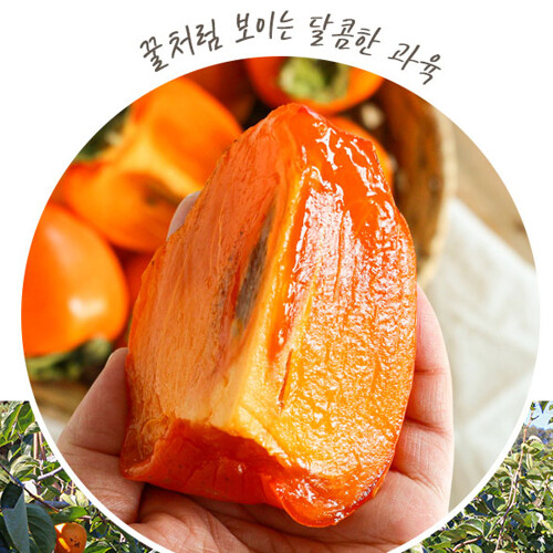확대보기 | 백화점을 클릭하다. AK 몰