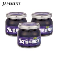 JAMMMINT 74프로 블루베리잼 165g 3병