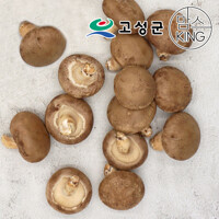 [공룡나라]고성 웅이표고농장 생표고버섯(생표고 중품1kg)