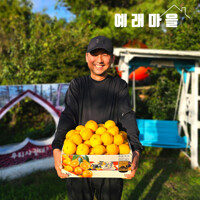 식탐대첩 제주 서귀포 노지 조생감귤 10kg 대과