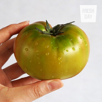 [프레시데이] 단짠 대저 토마토 선별 정품 L (2.5kg)