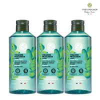 이브로쉐 모링가 헤어 식초 400ml x 3개