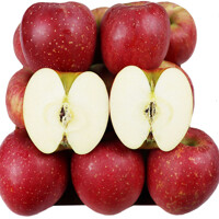 [미네픽] 매년 인기만점 달콤한 향가득한 청송부사 사과 가정용 5kg