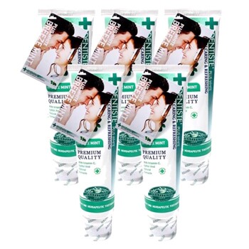 덴티스테 브리즈민트 치약 160g x5개 입냄새상쾌함
