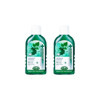 덴티스테 내츄럴 오랄린스 450ml 2개