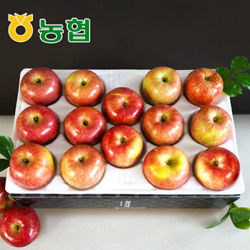 [농협] 아삭달콤 안동 사과 가정용 3kg (12과내)