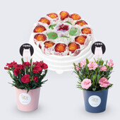 카네이션화분세트(레드+핑크) + 꽃모찌떡케익(중)