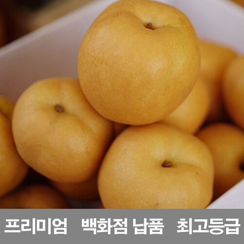 확대보기 | 백화점을 클릭하다. AK 몰
