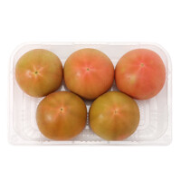 [새벽배송] 토마토 1kg