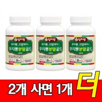 [2+1]미산약초 꾸지뽕 분말 골드 100g 2병+추가1병/3병 엄지왕 미산약초농장