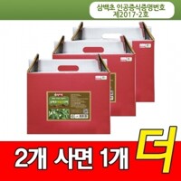 [2+1] 미산약초 어성초 삼백초 추출액 (80ml 60팩) 2박스+추가1박스/3박스 엄지왕 미산약초농장