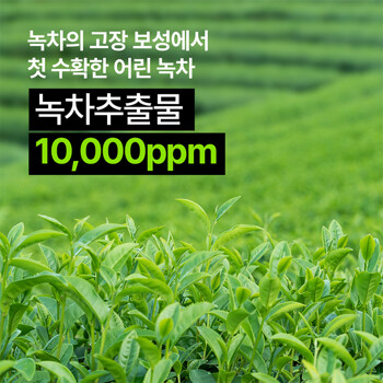 [네이처리퍼블릭] 1+1 어린녹차 순한 크림