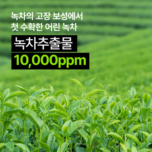 %추가%