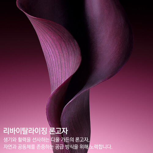 %추가%