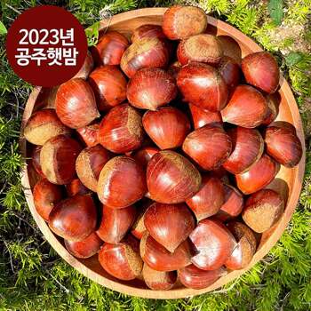 2023년 햇밤 공주밤 大사이즈 4kg