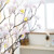 구름 벚꽃 조화 인조나무 190cm 조화나무 실내조경 인테리어조화