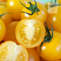 [프레시데이] 아삭달콤 옐로리타 황금 방울 토마토 특품 2kg+2kg