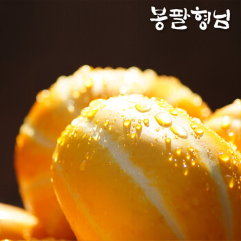 성주 꿀 참외 대과 (4-6과) 2.5kg 가정용