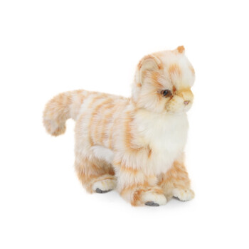 [한사토이] 6498번 고양이 Kitten Ginger Standing/20cm.L        