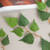 버찌잎봉지 그린(24개입) 조화 인테리어 장식 FAIBFT