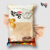 [보섭이네푸드]한땀명가 황금찰보리쌀 4kg