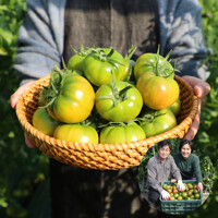 [우리토마토농장] 단짠단짠 대저토마토 2.5kg (S-3S,개당 80g-130g)