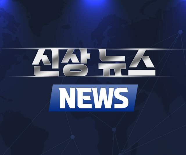 신상 뉴NEW스