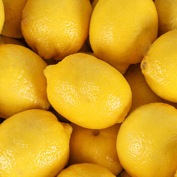 프리미엄 팬시 레몬 10과(과당 120g내외) 