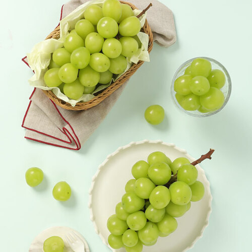[퀵/서울.경기일부][빛과나무]샤인머스켓세트 (망고포도) 2kg (3-5송이) 선물용