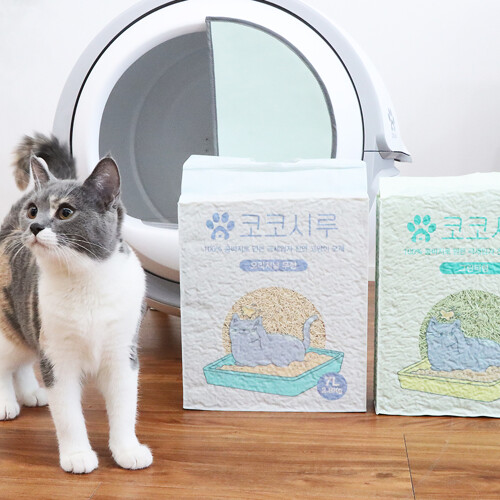 확대보기 | 백화점을 클릭하다. AK 몰
