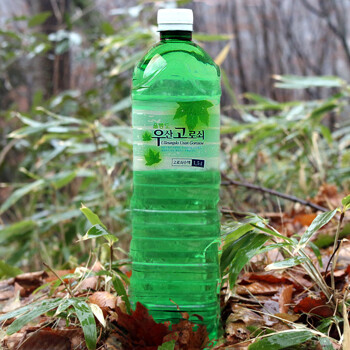 울릉도 우산고로쇠 물/수액 1.5L x 12개