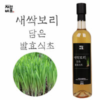 자연비초 새싹보리담은 발효식초 500ml 천연발효식초