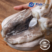 [피시원]국내산 손질갑오징어(소) 3kg(16-18마리)급냉