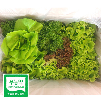 무농약 유럽 샐러드 채소 모듬 쌈 야채 깨끗한 수경재배 600g